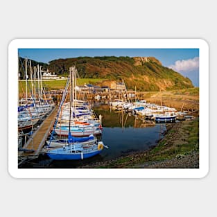 Axmouth Harbour & Haven Cliff Sticker